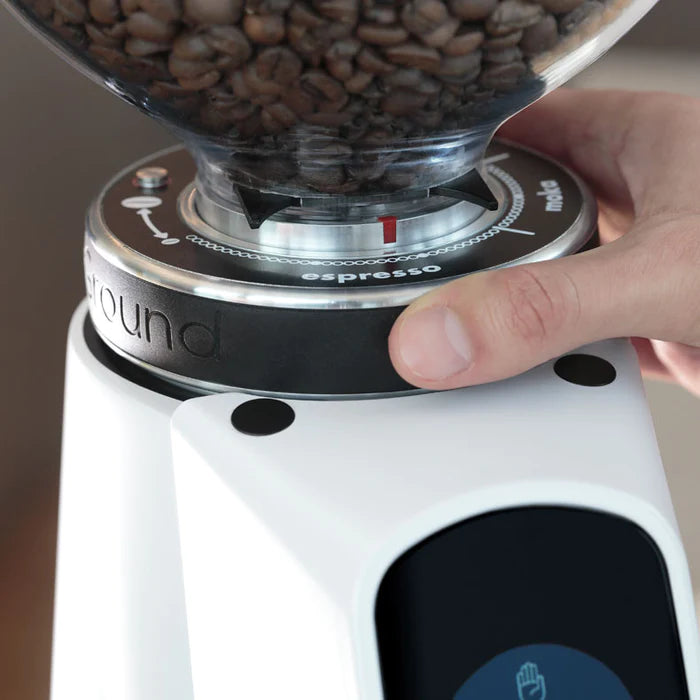 Fiorenzato AllGround All Purpose Home Coffee Grinder